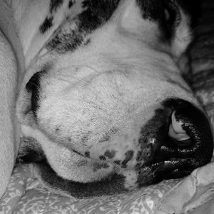 Meet your Posher, Holly